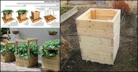 How To Grow A Compact Potato Grow Box Try This For Yourself And See
