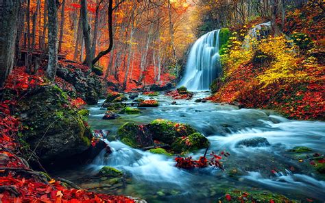 Forest Waterfall In Autumn Forest Stream Rocks Colorful Fall
