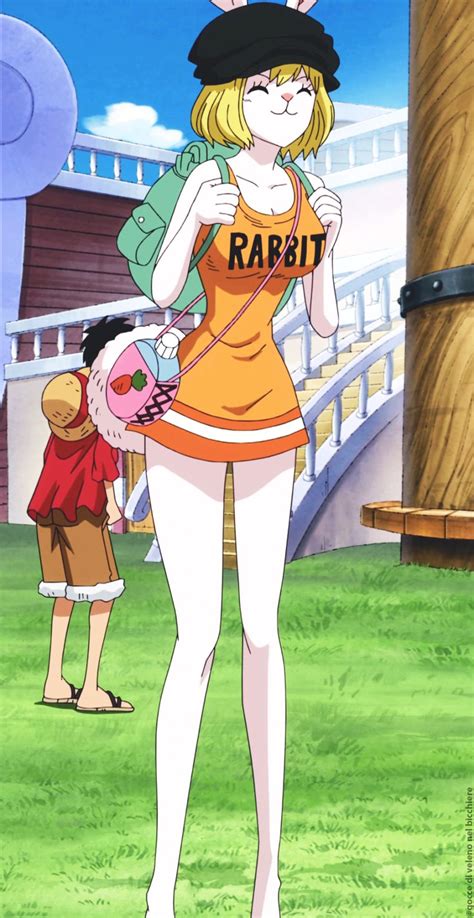 Goccedivelenonelbicchiere “carrot” Una Pieza One Piece Manga Personajes De One Piece