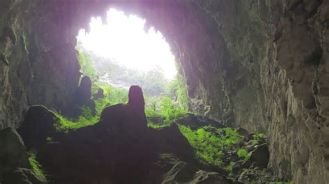 La Increíble Cueva Bosque Adentro Youtube