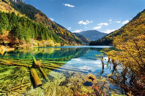 Lake With Crystal Clear Water Among Foliage Of Trees In Autumn Stock