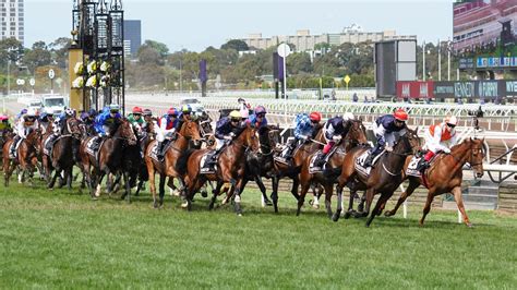 Free 2022 Melbourne Cup Online Sweep Generator Eftso