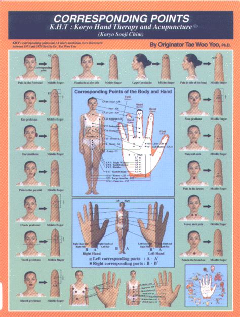 Korean Reflexology ‘koryo Hand Therapy Hand Therapy Reflexology Acupressure Treatment