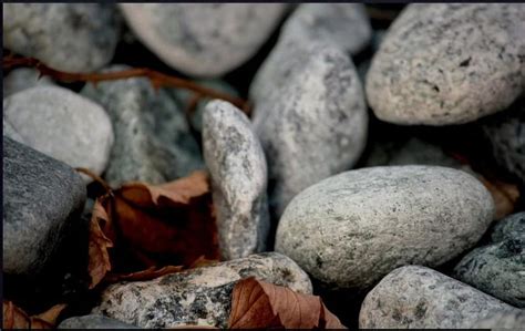 Stone Fall Rocks Leaves Autumn Nature Leaf Hd Wallpaper Pxfuel