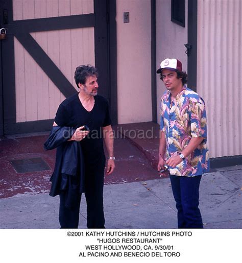 Al Pacino And Benicio Del Toro Benicio Del Toro Photo Fanpop
