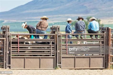 Five Cowboys Photos And Premium High Res Pictures Getty Images