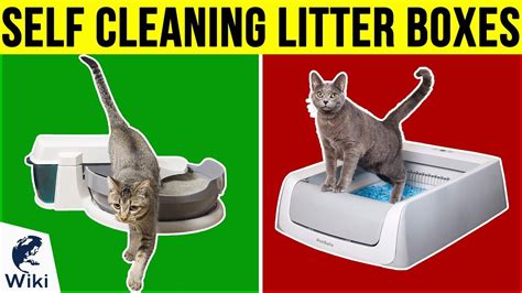 6 Best Self Cleaning Litter Boxes 2019 Youtube
