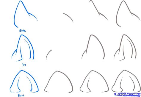 Anime Cat Ears Drawings