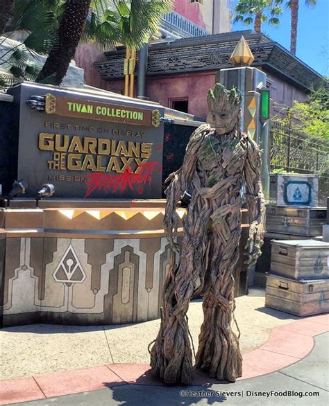 Photos And Video First Look At Disneys Life Size Walking Baby Groot