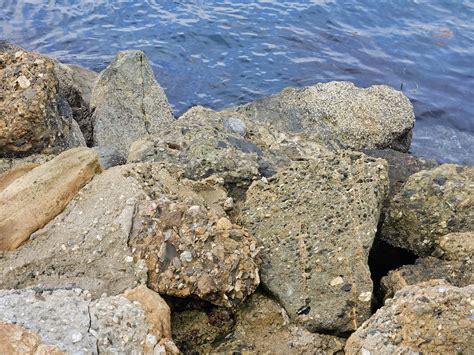 Rocks Texture Background Free Stock Photo Public Domain Pictures