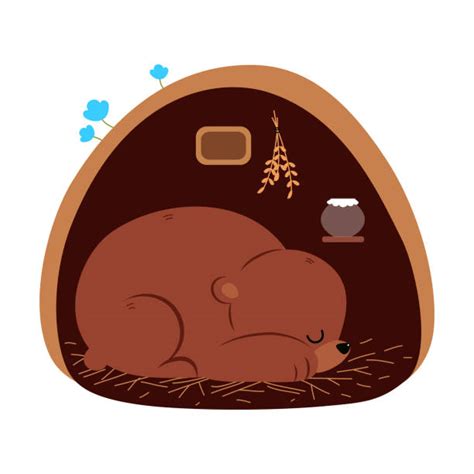40 Bear Sleeping In Cave Vector Stock Illustrations Royalty Free