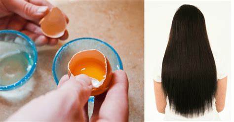 How Eggs Prevent Hair Loss And Aid Hair Growth
