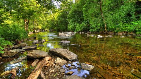 River Barle Exmoor National Park England River With Crystal Clear Water