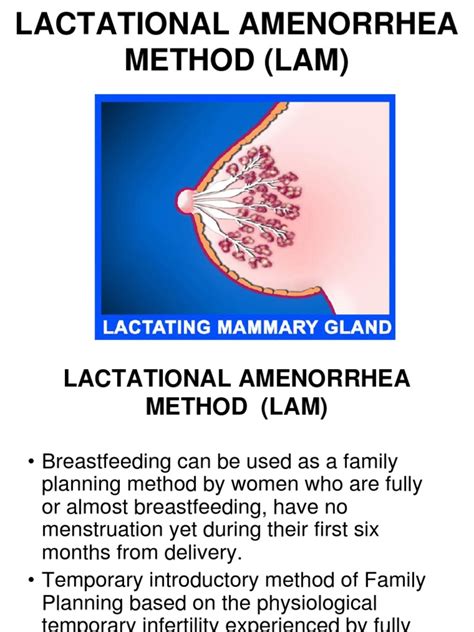 Lactational Amenorrhea Method Breastfeeding Midwifery