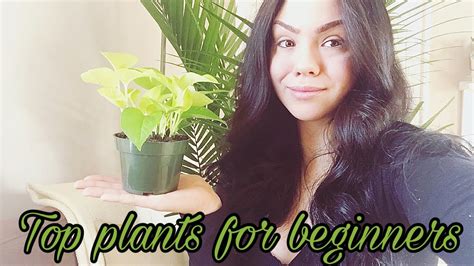 5 Plants For Beginners No Green Thumb Required Youtube