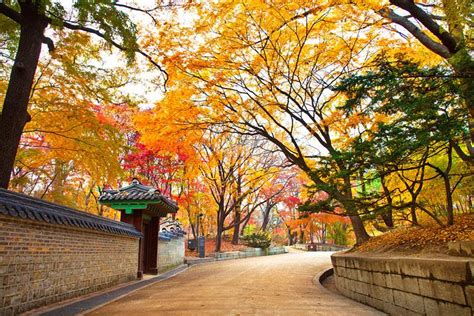 Tour Hàn Quốc Mùa Thu Mùa Lá đỏ Cuối Tháng 10 Du Lịch Quốc Tế Kim Liên