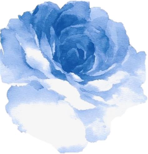 Royal Blue Blue Watercolor Flowers Png 779996
