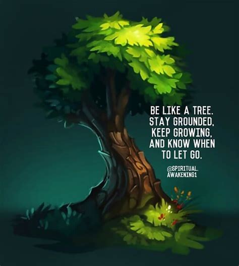 Tree Life Quotes Inspiration
