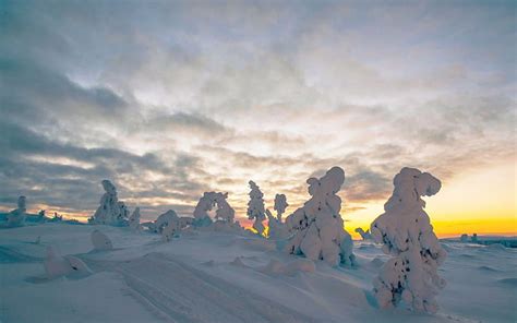 Noon At Levi Fell In Kittila Finnish Lapland Sky Snow Trees