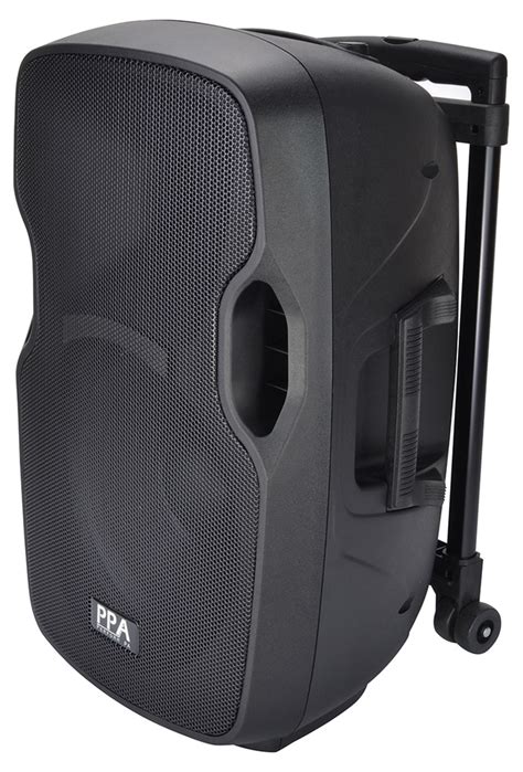 12 Inch Battery Powered Pa Speaker With 2 Radio Mics And Bluetooth