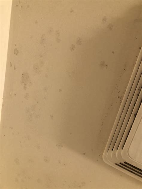 My sister's bathroom grows mold little black spots on the ceiling. Expected mold growth on bathroom ceiling - Fungi Lab
