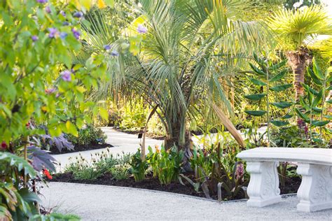 22 Tropical Garden Layout Ideas You Should Look Sharonsable