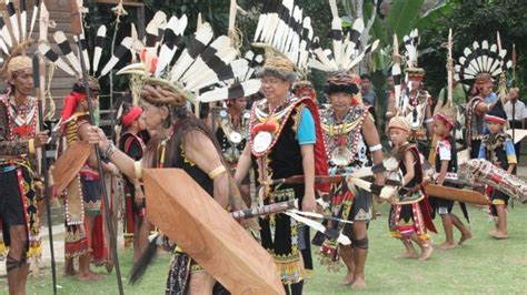 Sarat Makna Dan Budaya Inilah Upacara Ritual Adat Suku Dayak Yang My