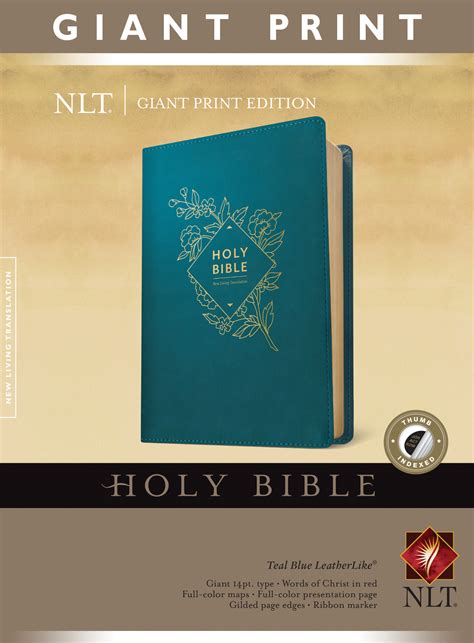 Holy Bible Giant Print Nlt By New Living Translation Free Delivery