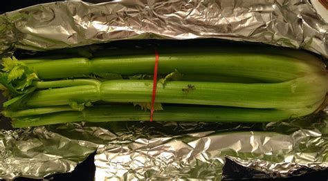 To keep your celery fresh and crisp for longer, use this storage method with aluminum foil. Frugal Allergy Mom: How to Keep Celery Fresh and Crisp For ...