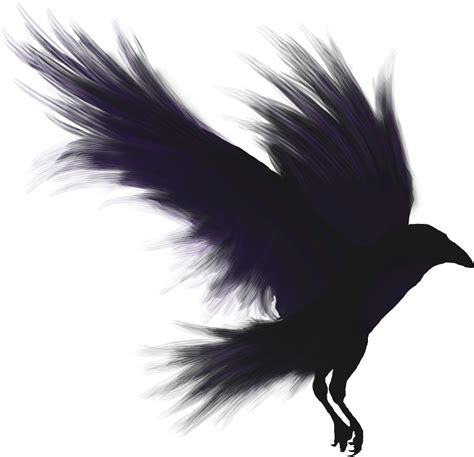 Raven Png Hd Images Png Play