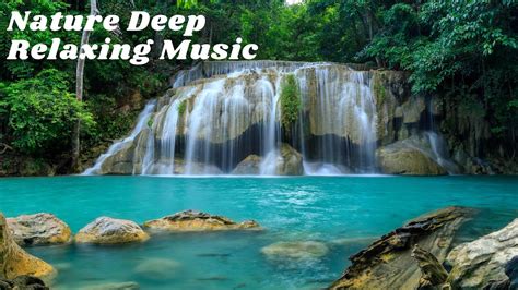 Nature Sound Relaxing Music Youtube