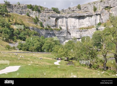 Malham Cove A Natural Limestone Formation A Mile North Of Village Of