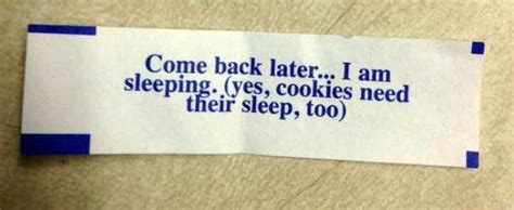 Hilariously Sarcastic Fortune Cookie Sayings Klykercom