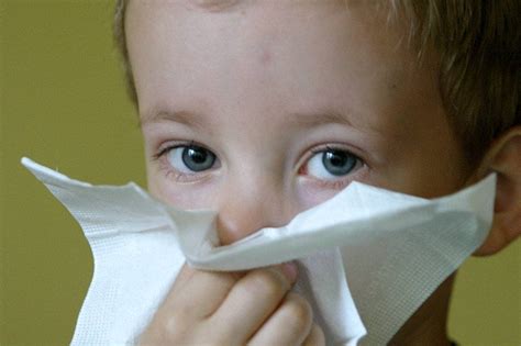 Alergia Przyczyny Objawy Leczenie Alergia Sk Rna Pokarmowa