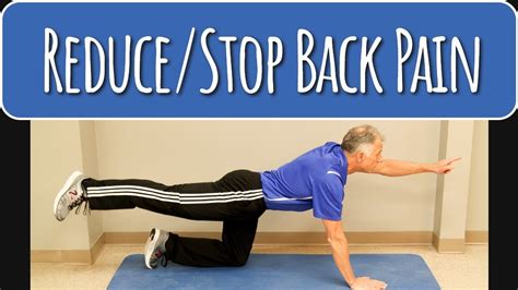 Top Core Exercises To Reduce Stop Back Pain