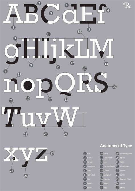 Anatomy Of A Typeface Retitogo