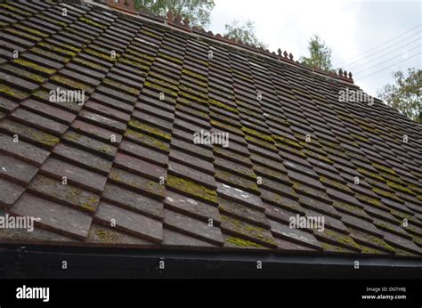 Square Roofing Tiles Stock Photo Alamy