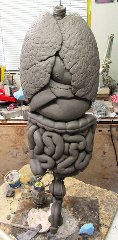 The Internal Organs Sculpted In Clay Sfondi Iphone Scultura Idee