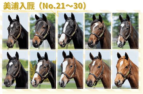 シルク2020年度募集馬の競走馬名 | ひろみの競馬日誌