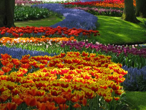 Amazing Magazine The Worlds Largest Flower Garden Keukenhof The