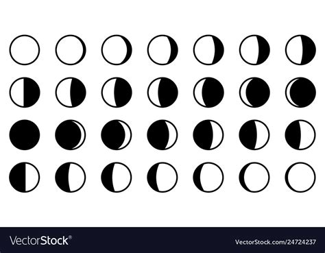 Lunar Moon Phases Cycle All 28 Shapes For Each Vector Image