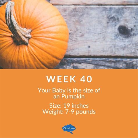 40 Weeks Pregnant Cloudmom