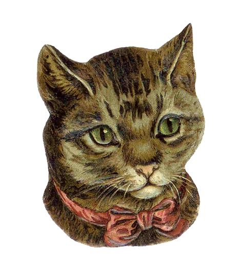 Antique Images Vintage Victorian Die Cut Victorian Die Cut Of Cat