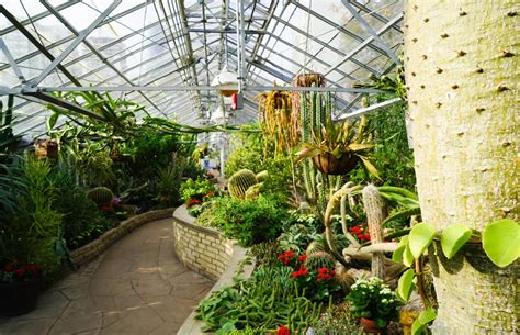 These Are The Worlds Most Gorgeous Greenhouses