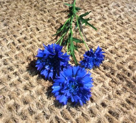 Cornflower Blue Artificial Bloom 65 Cm Long