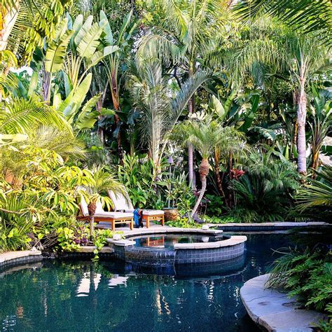 Tropical Plants Retreat With Images Tropical Backyard