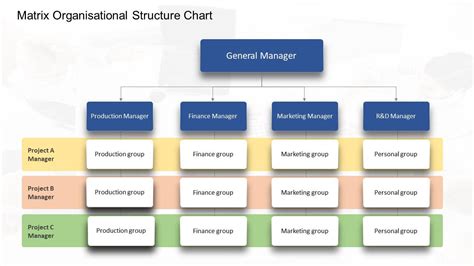 Organizational Chart Of A Company Startup Organizational Chart