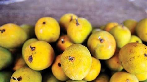 Love Mangoes Here Are More Reasons To Eat Them