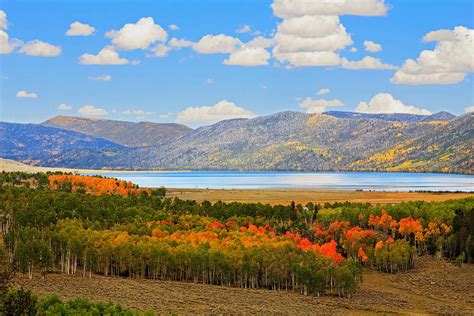 Fall At Fish Lake In Utah Photograph By Bob Palin