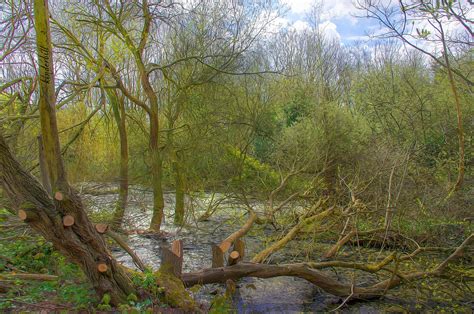 The Pond Hamlet Of Mucking Thurrock Essex Bill Robinson Flickr